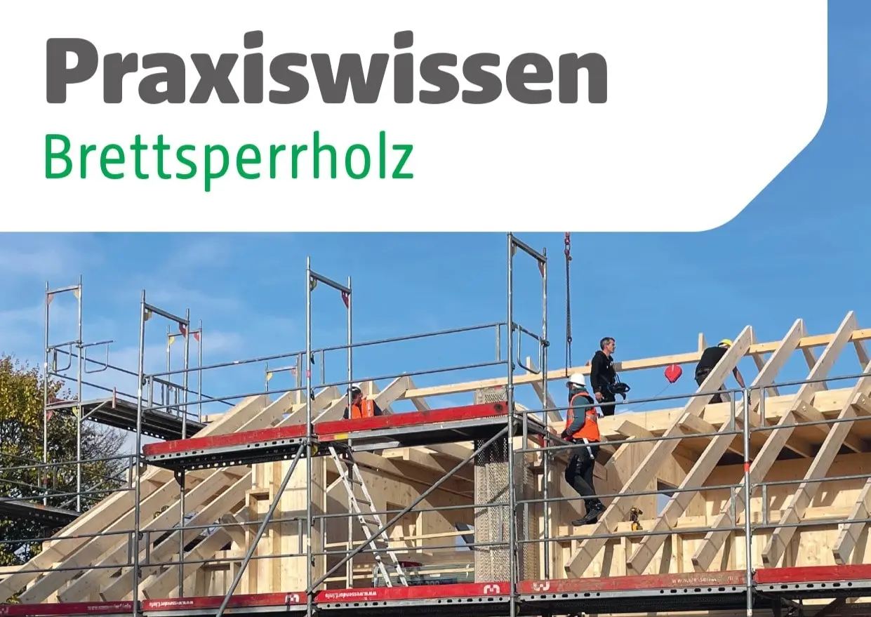 praxiswissen brettsperrholz