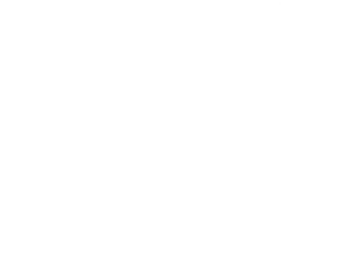 Hochkran Logistik Service